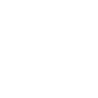 face-scanner (1)